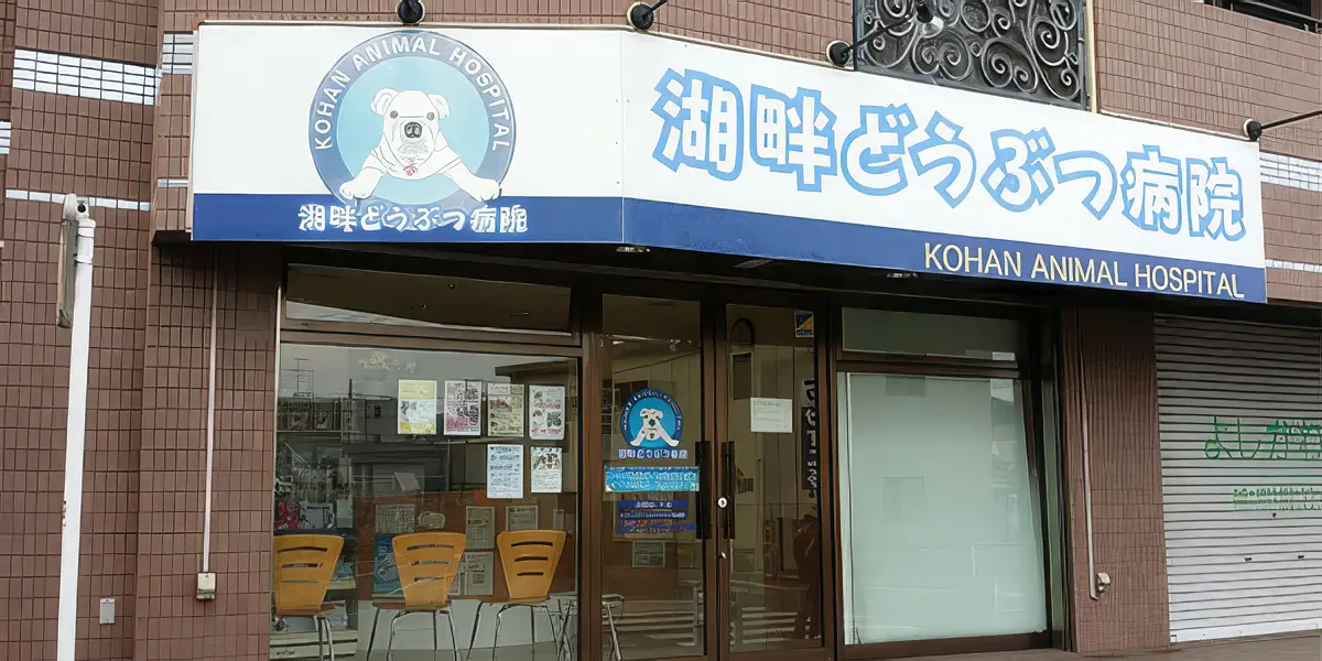 湖畔どうぶつ病院の外観