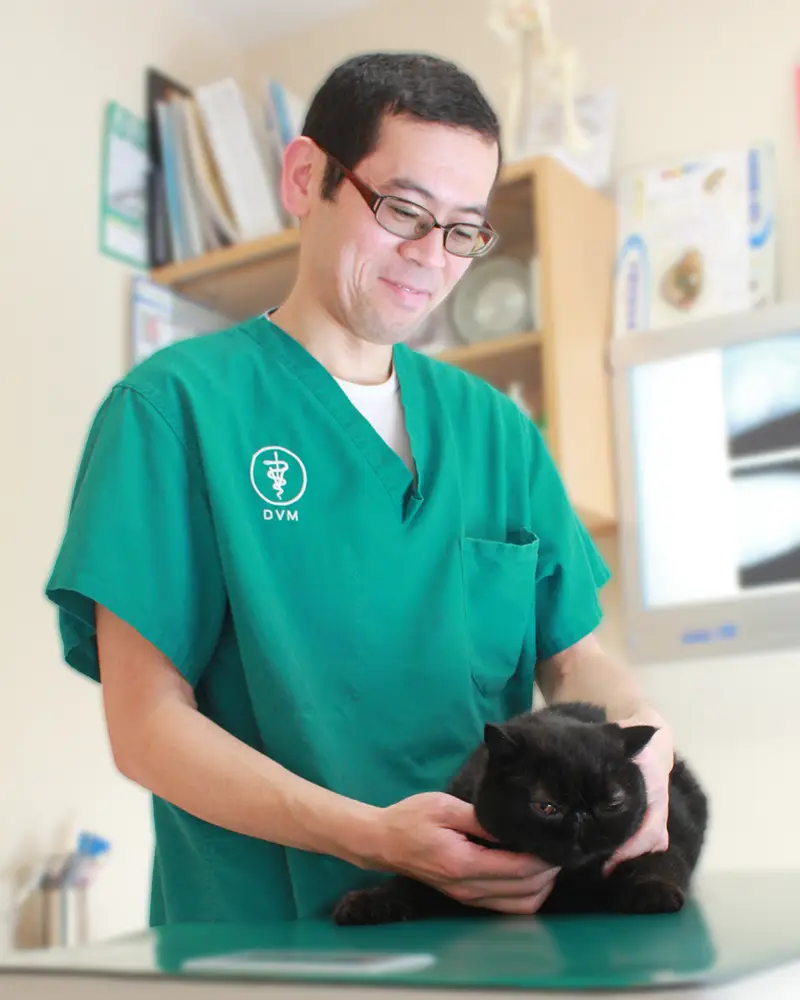 猫を診察する院長