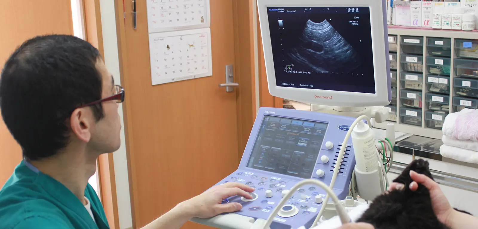 検査機器を使って診療する様子