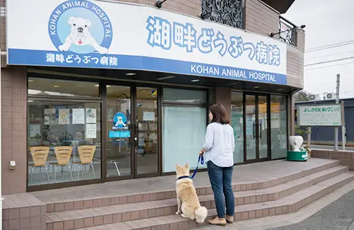 来院時のお願い