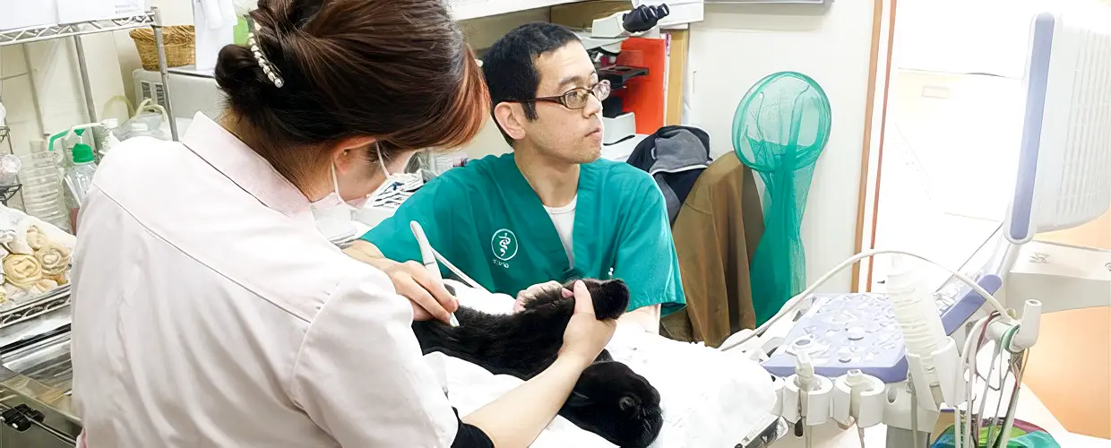 診療中の院内スタッフの様子
